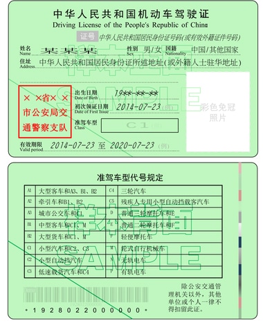 Chinese Driving License Sample